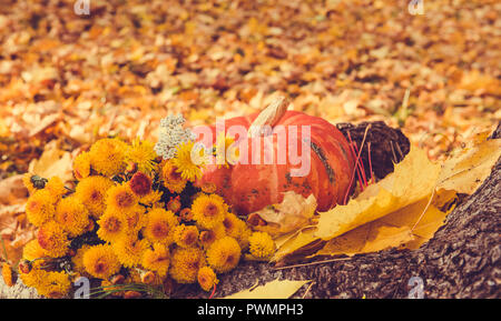 pumpkin and yellow flowers on an autumn background with fallen leaves Stock Photo
