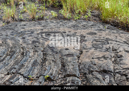 Petroglyphs  at Pu'uloa (Long Hill) along the Chain of Craters road, in volcano National Park on the island of Hawaii. The drawings are 400-700 years Stock Photo