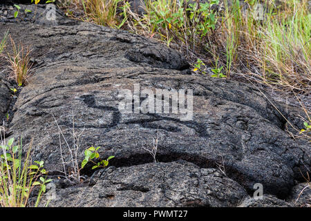 Petroglyphs  at Pu'uloa (Long Hill) along the Chain of Craters road, in volcano National Park on the island of Hawaii. The drawings are 400-700 years Stock Photo