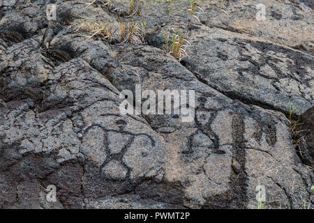 Petroglyphs  at Pu'uloa (Long Hill) along the Chain of Craters road, in volcano National Park on the island of Hawaii. The drawings are 400-700 years Stock Photo