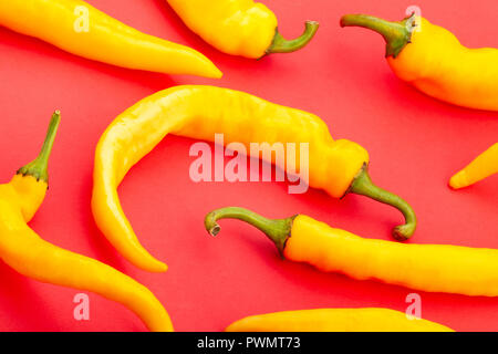 yellow chilli pepper on red background Stock Photo