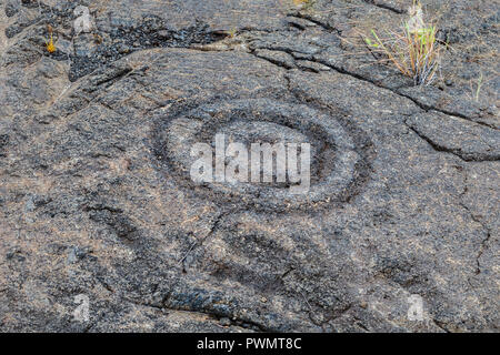 Petroglyphs  at Pu'uloa (Long Hill) along the Chain of Craters road, in volcano National Park on the island of Hawaii. The drawings are 400-700 years Stock Photo