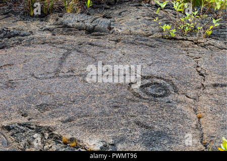 Petroglyphs  at Pu'uloa (Long Hill) along the Chain of Craters road, in volcano National Park on the island of Hawaii. The drawings are 400-700 years Stock Photo