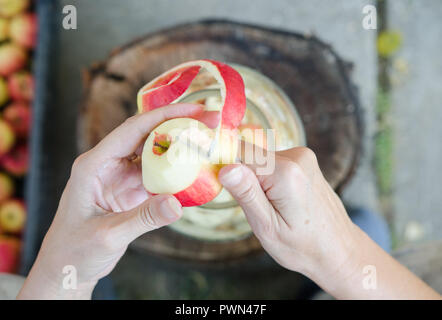 Making of apple vinegar - scene from above - hand peeling apples