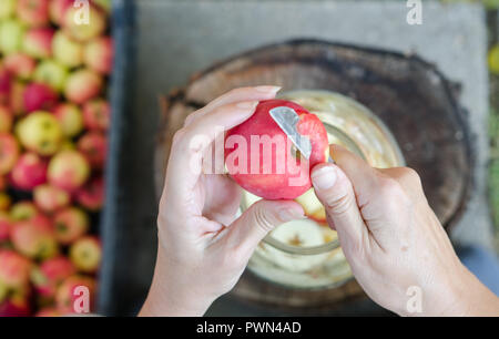 Making of apple vinegar - scene from above - hand peeling apples