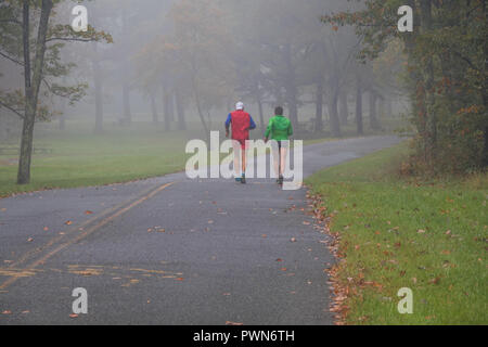 Pair of fit male mature runners in bright clothing through a bleak foggy morning in the fall; dedication to fit lifestyle concept Stock Photo