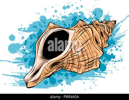 Colorful tropical shells underwater icon set frame of sea shells, vector illustration.Summer concept with shells and sea stars. Round composition, starfish, nature aquatic. Vector illustration. Stock Vector