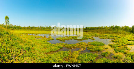 A beaver pond in the process of undergoing ecological succession into a beaver meadow, Elk Island National Park, Alberta, Canada Stock Photo