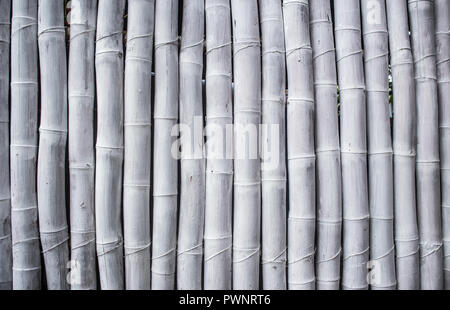 Textured background of a wall of painted white bamboo sticks Stock Photo