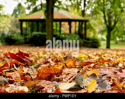 Ashbourne Park, Derbyshire, UK. 17th Oct, 2018. UK Weather: Autumn leaves fall in Ashbourne Park, Derbyshire the gateway to the Peak District National park Credit: Doug Blane/Alamy Live News Stock Photo