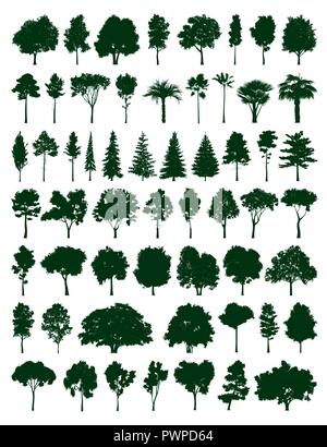 big vector set of tree silhouettes for your project Stock Vector