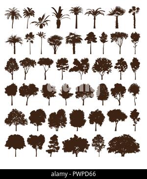 big vector set of tree silhouettes for your project Stock Vector