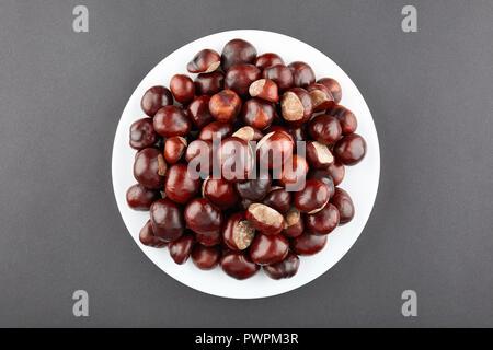 Many chestnuts on white plate. Grey background. Stock Photo