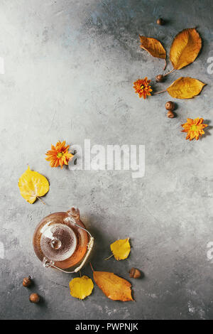 Glass teapot of hot tea decorated by yellow autumn leaves, aster flowers and acorns over grey texture background. Flat lay, space. Seasonal background Stock Photo