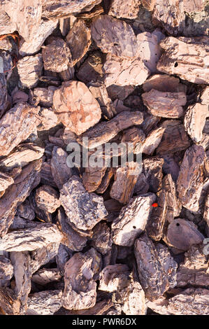 wooden chips mulch on the ground texture. background. Stock Photo