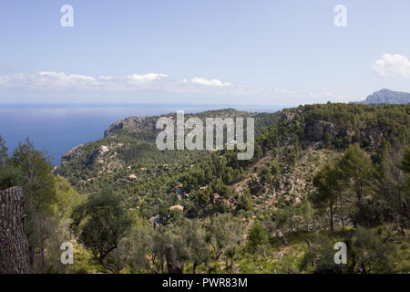 Port de Sóller Stock Photo