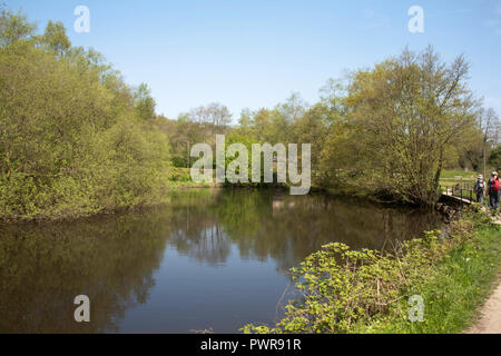 Small canal above the River Etherow in spring at Etherow Country Park ...