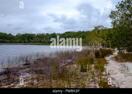 Lake Garawongera - Fraser Island Stock Photo