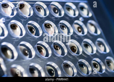 prosthetic eyeballs Stock Photo