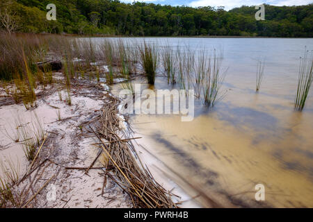 Lake Garawongera - Fraser Island Stock Photo