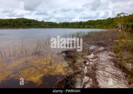 Lake Garawongera - Fraser Island Stock Photo