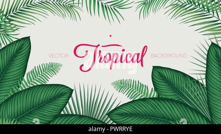 Summer tropical foliage calathea ornata leaves, vector background template for your design Stock Vector