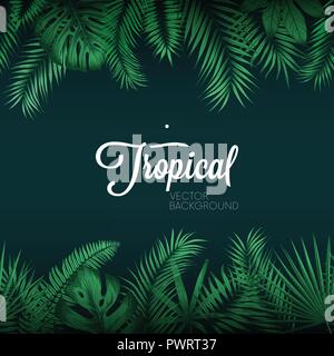 Tropical vector background with exotic green palm leaves template for your design Stock Vector