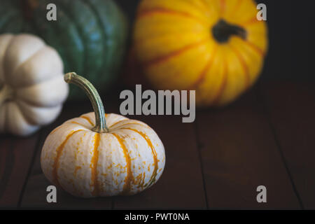 Beautiful pumpkins great for Thanksgiving or Halloween messaging. Stock Photo