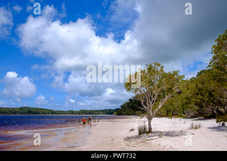 Lake Boomanjin - Fraser Island Stock Photo