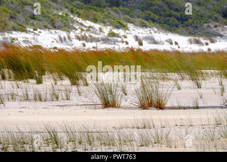 Lake Boomanjin - Fraser Island Stock Photo