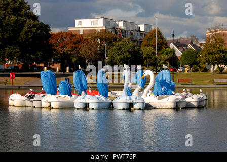 Pedalos in the shape of swans, Canoe Lake, Southsea, Porstmouth, Hampshire, England, partly covered as out of season Stock Photo