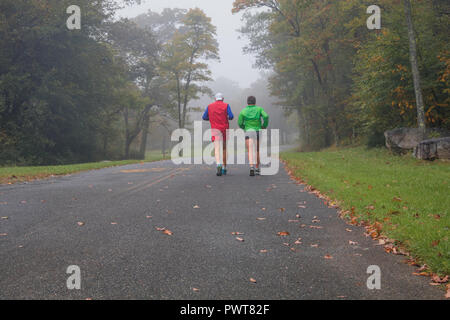 Pair of fit male mature runners in bright clothing through a bleak foggy morning in the fall; dedication to fit lifestyle concept Stock Photo