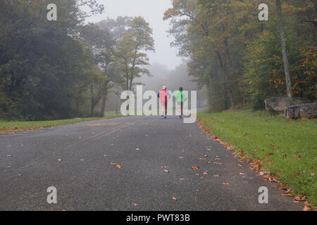 Pair of fit male mature runners in bright clothing through a bleak foggy morning in the fall; dedication to fit lifestyle concept Stock Photo