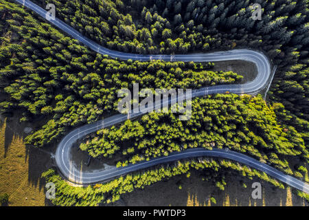 Aerial drone view of winding road through green forest Stock Photo