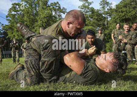 U.S. Navy Seaman Apprentice Johnathon Rau, left,  2nd Dental Battalion, 2nd Marine Logistics Group, and U.S. Marine Corps Cpl. Molik Ryan, Headquarters Company, Combat Logistics Regiment 25, 2nd Marine Logistics Group (MLG) ground fight during the 2nd MLG Squad Competition at the Battle Skills Training School on Camp Lejeune, N.C., June 21, 2017. 2nd MLG held the competition in order to highlight the outstanding Marines with each battalion, build unit pride and cohesion, and identify common skill deficiencies with the 2nd MLG. Stock Photo