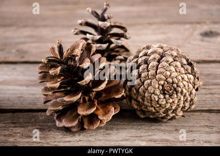 Pine cone on rustic retro wooden background plank. Nature and autumn concept. Close up, selective focus Stock Photo
