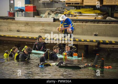 Third day of the International Human-Powered Submarine Races in the ...