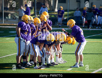 Quarterback reads the game play from wrist for Cretin-Durham Hall High School football team in the huddle on the field. St Paul Minnesota MN USA Stock Photo