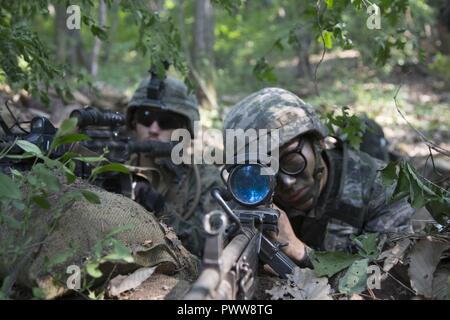 U.S. Marines assigned to India Company, 3rd Battalion, 8th Marine Regiment, forward deployed to the 3rd Marine Division, as part of the forward Unit Deployment Program, and Republic of Korea Marines (ROK) takes aim from a defensive position at Twin Bridges training area, South Korea, June 21, 2017. In support of the Korean Marine Exchange Program 17-11, U.S. Marines and ROK Marines dug defensive positions to give protection and the ability to provide fire from cover. Stock Photo