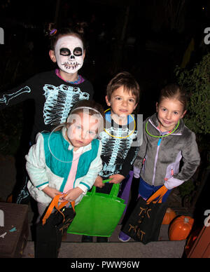 Looks like four siblings out for a night of Halloween tricks or treats with the two oldest dressed in skeleton costumes. St Paul Minnesota MN USA Stock Photo
