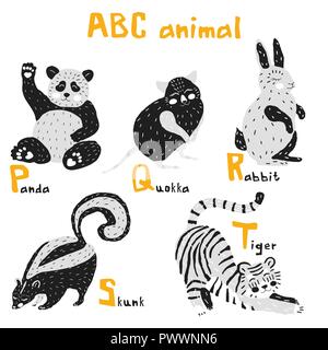 Vector hand drawn cute abc alphabet animal scandinavian design, panda, quokka, rabbit,skunk, tiger Stock Vector