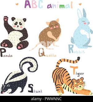 Vector hand drawn cute abc alphabet animal scandinavian design, panda, quokka, rabbit,skunk, tiger Stock Vector