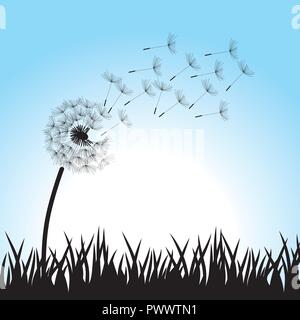 dandelion flower, vector Stock Vector