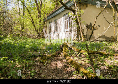 Exterior of small abandoned house, Chernobyl, Ukraine. Stock Photo