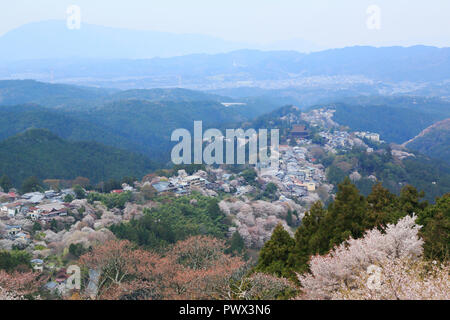Yoshino mountain cherry blossoms Stock Photo