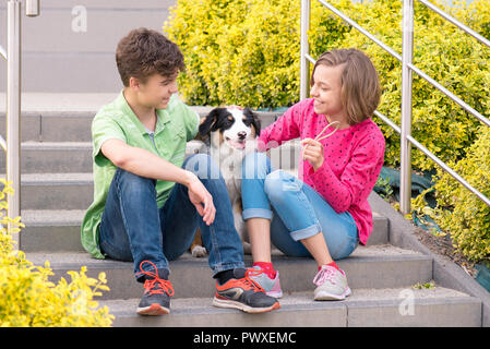 Cute children - happy teen boy and girl playing with puppy Australian Shepherd dog, outdoors. Friendship and care concept. Stock Photo