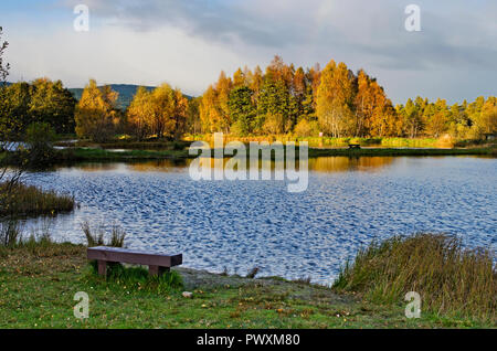 Late afternoon sunshine on colourful autumn trees surrounding  fishing ponds at Rothiemurchus fishery near Aviemore, Cairngorms National Park Scotland Stock Photo