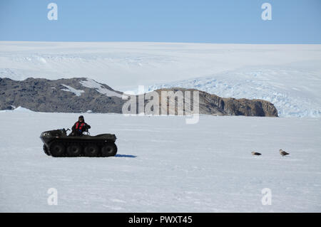 Young polar explorers pass through wormwood on ice along a wooden flooring. Antarctic. Stock Photo