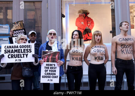 New York NY USA. 18th. Oct. 2018. American animal rights