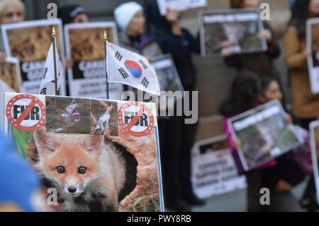 New York, USA. 18th October, 2018. Today animal-rights protesters showed up outside the new Canada Goose store in Soho, New York City. As temperatures drop, and New Yorkers start shopping for winter coats, People for the Ethical Treatment of Animals ( PETA) organized this protest. Protesters believe The Canada Goose winter jackets comes from wild coyotes who were trapped, killed, and skinned. Credit: Ryan Rahman/Alamy Live News Stock Photo